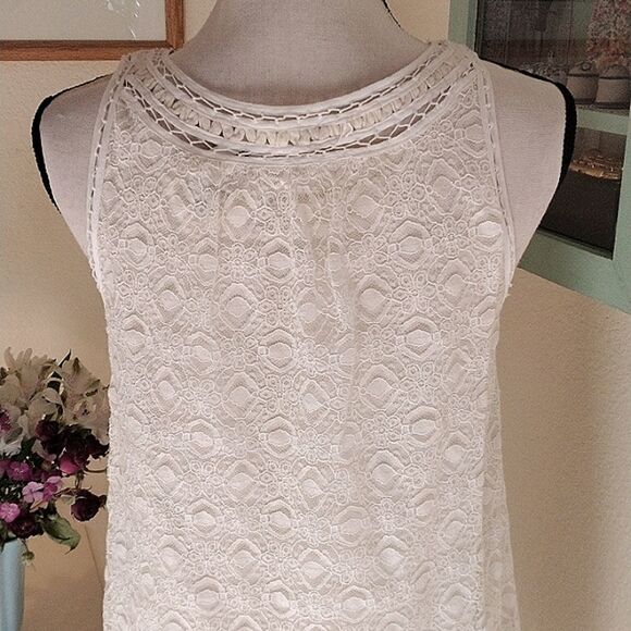NWT Max Studio Lace Shift Dress - Picture 8 of 13